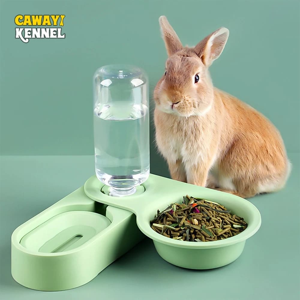 Small Animal Feeder With Water Fountain