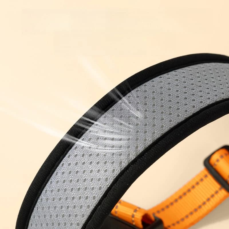 Pet Collar, Neck Collar, Neck Set, Dog Walking Leash, Dog Chain, Collar, Pet Dog Collar