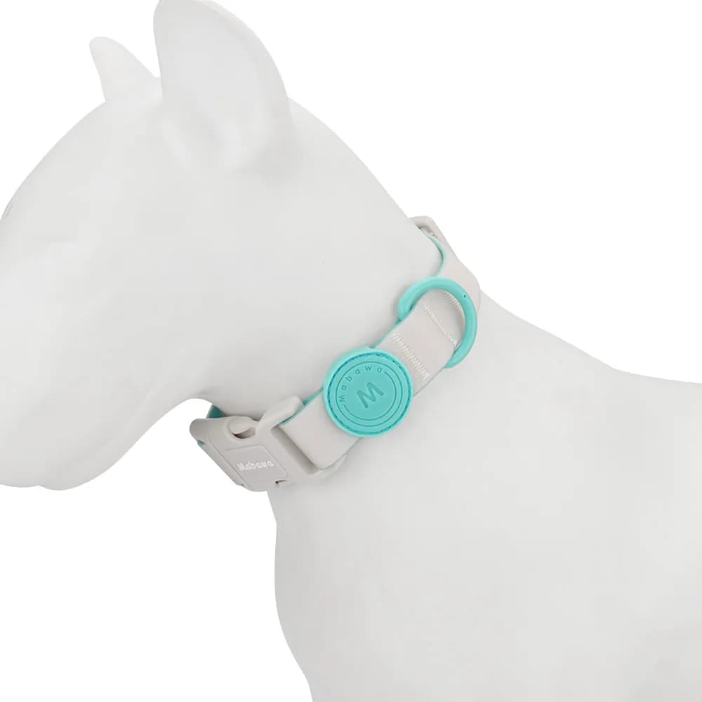 Candy Color Medium Pet Collar with Leash