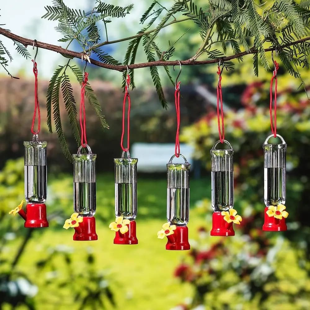Portable Hummingbird Water Feeder