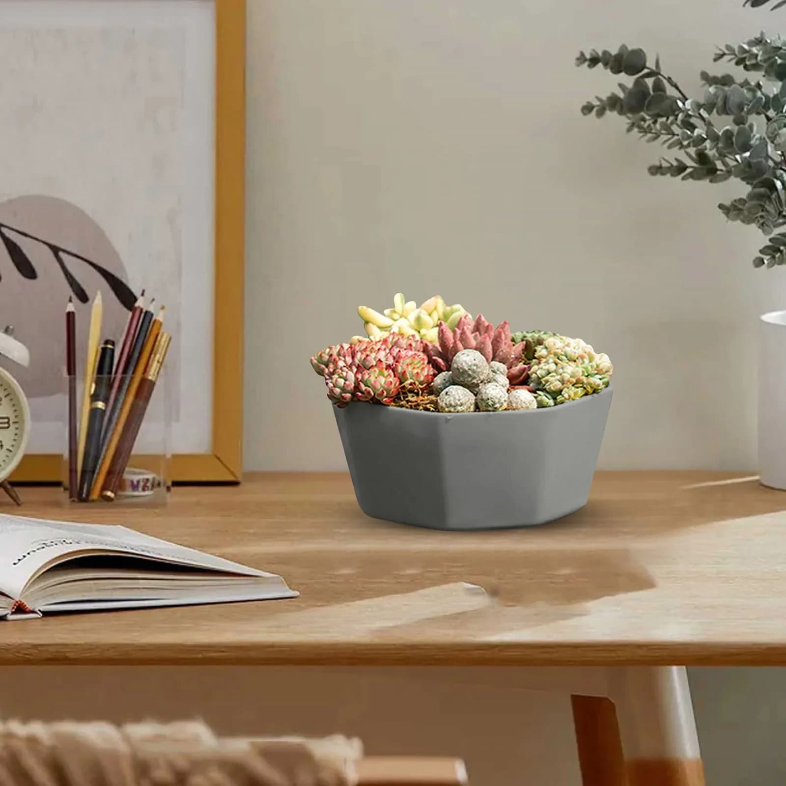 Plastic Flower Pots with Drainage and Saucers