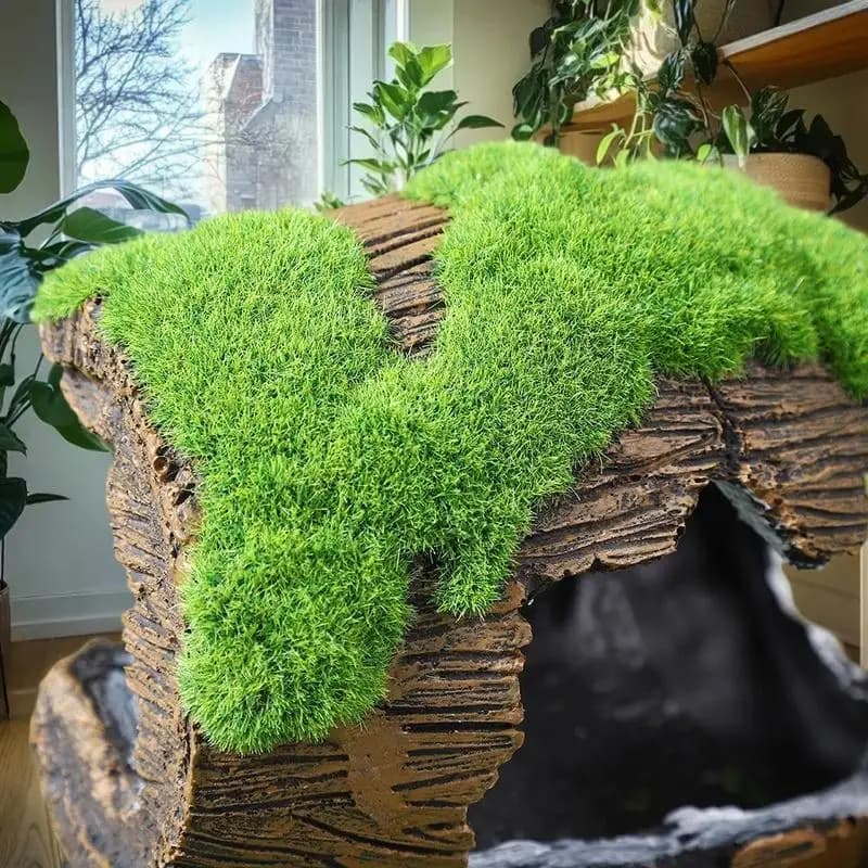 Aquarium  Decoration Fish  Shelter Fish Tank Resin  Ornaments Fish And  Hiding Cave Aquarium Landscaping