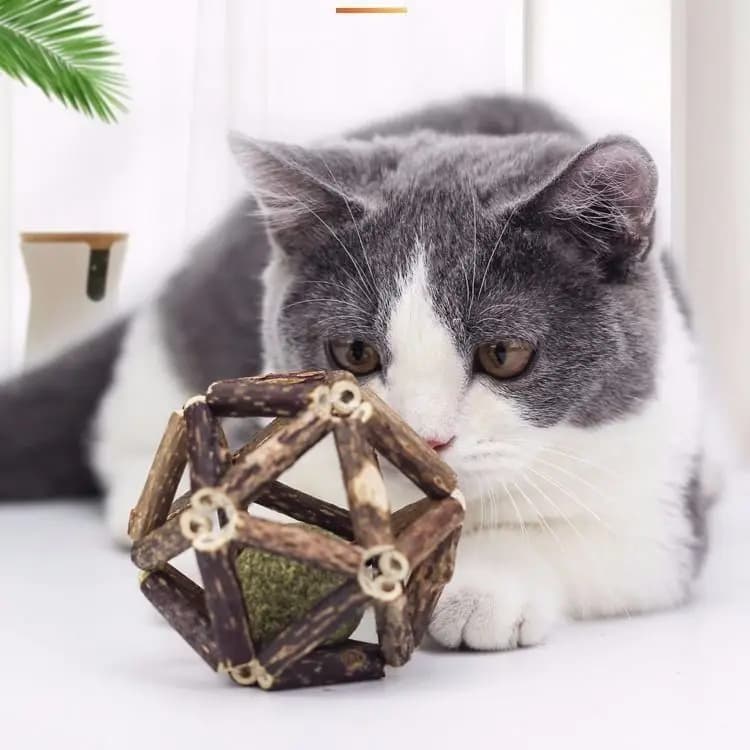 Catnip, catnip, small ball, bell ball, cat toy, self-entertaining cat, cat chew stick, cat toy supplies cat toys puppy keep cat