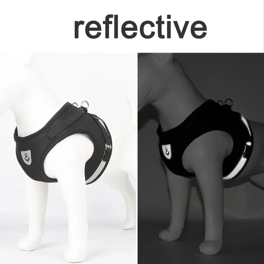 Adjustable Reflective Mesh Dog and Cat Harness with Leash
