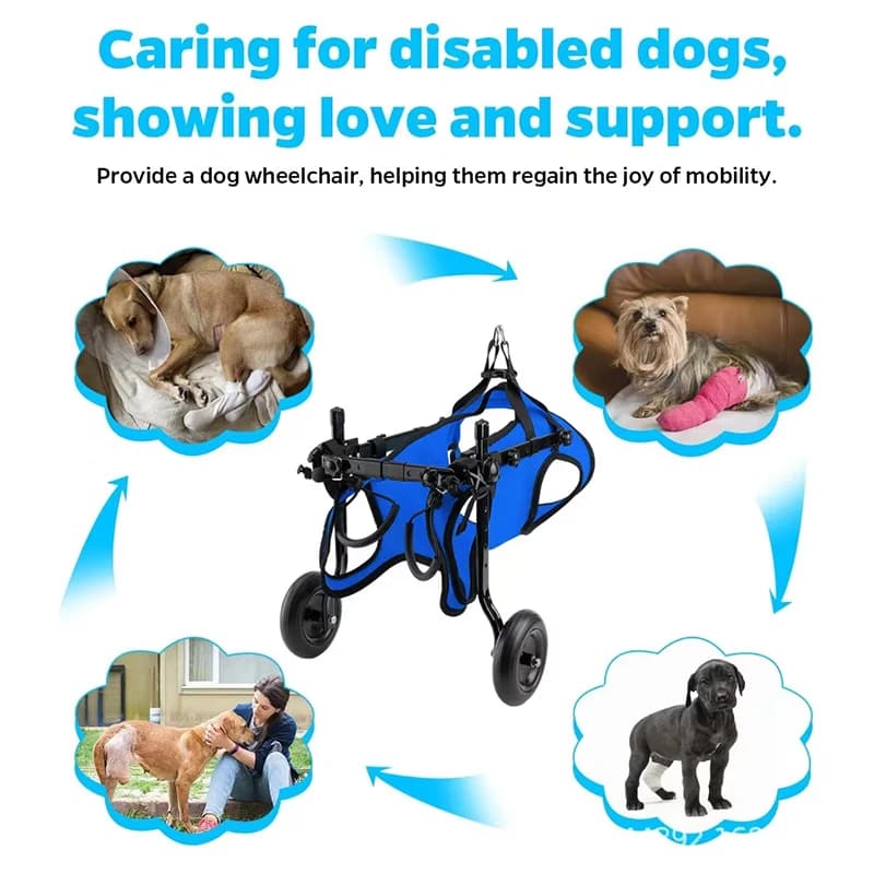 Adjustable Small Dog Wheelchair