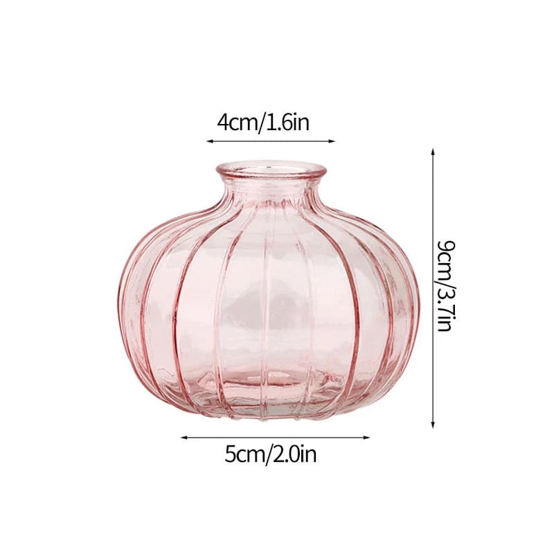 Clear Glass Minimalist Flower Vase