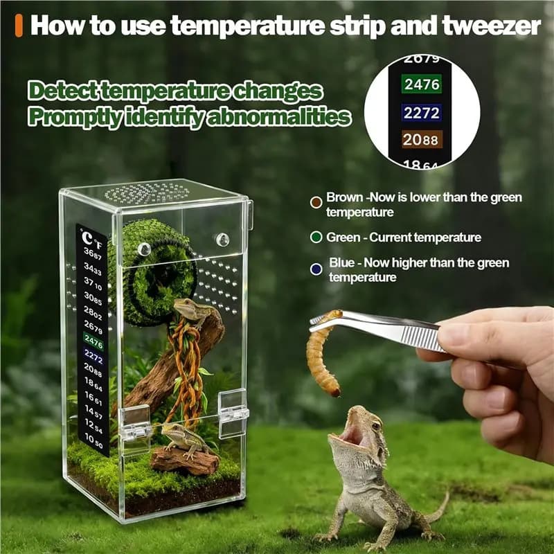 Acrylic Reptile Terrarium 360° Clear Design