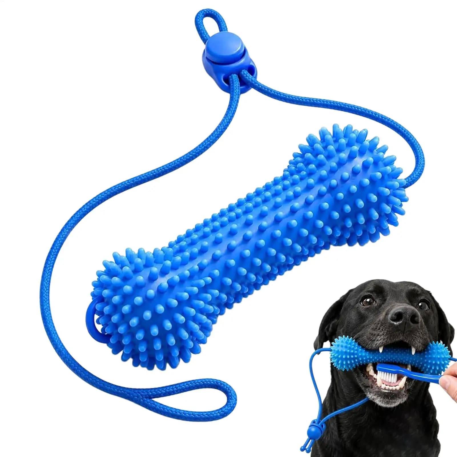 Dog Dental Chew Toy with Brushing Zone
