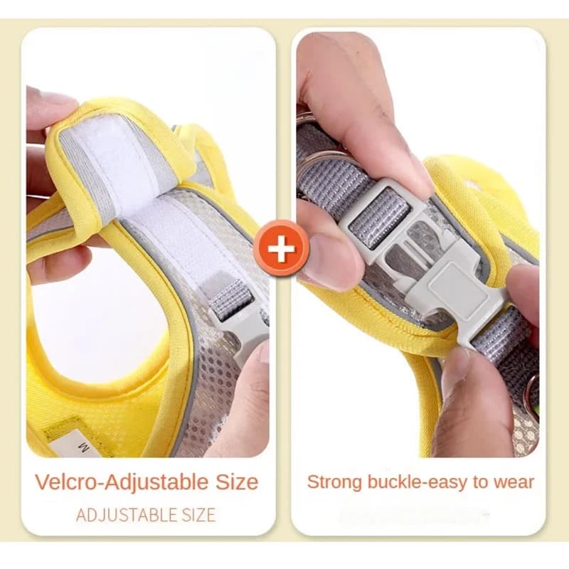 Reflective Mesh Harness and Leash Set for Cats and Small Dogs