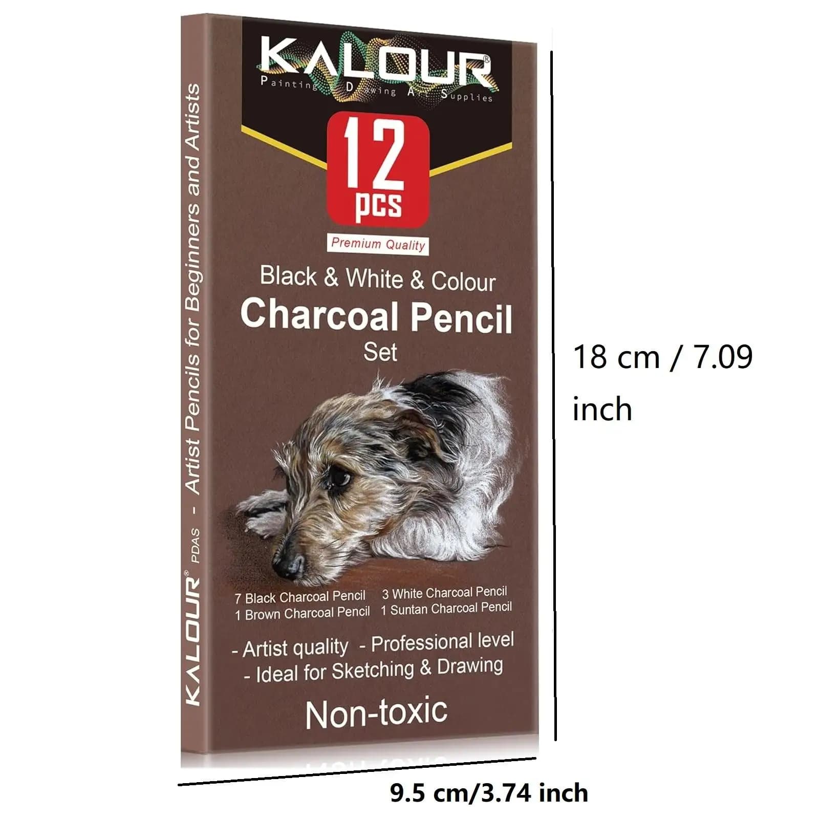 Colored Charcoal Pencils Drawing Set 12 Pieces