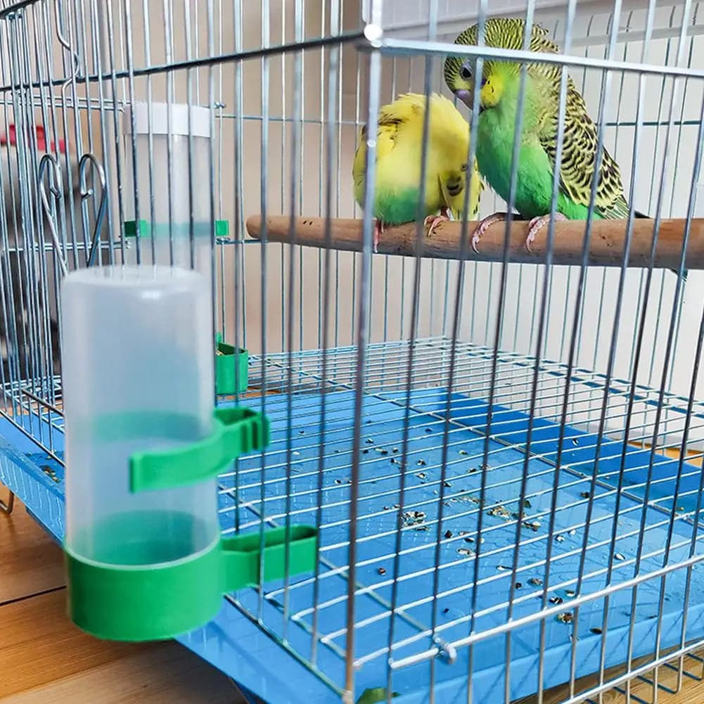 Bird Feeder and Waterer Set