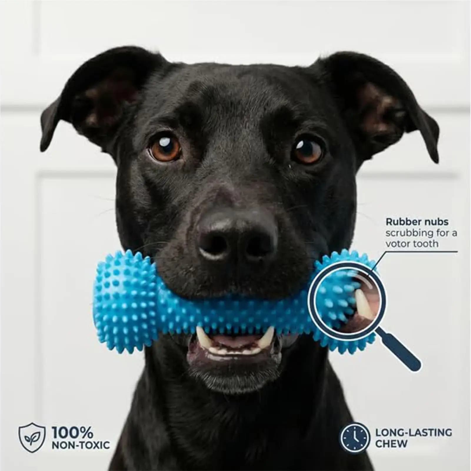 Dog Dental Chew Toy with Brushing Zone