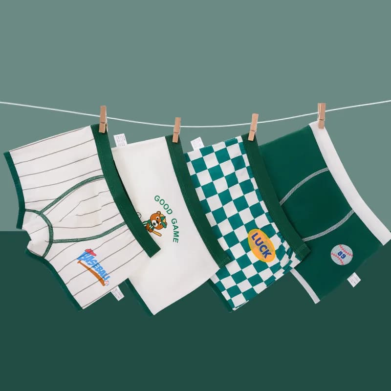 Boys Cotton Dinosaur Print Underwear 4-Pack