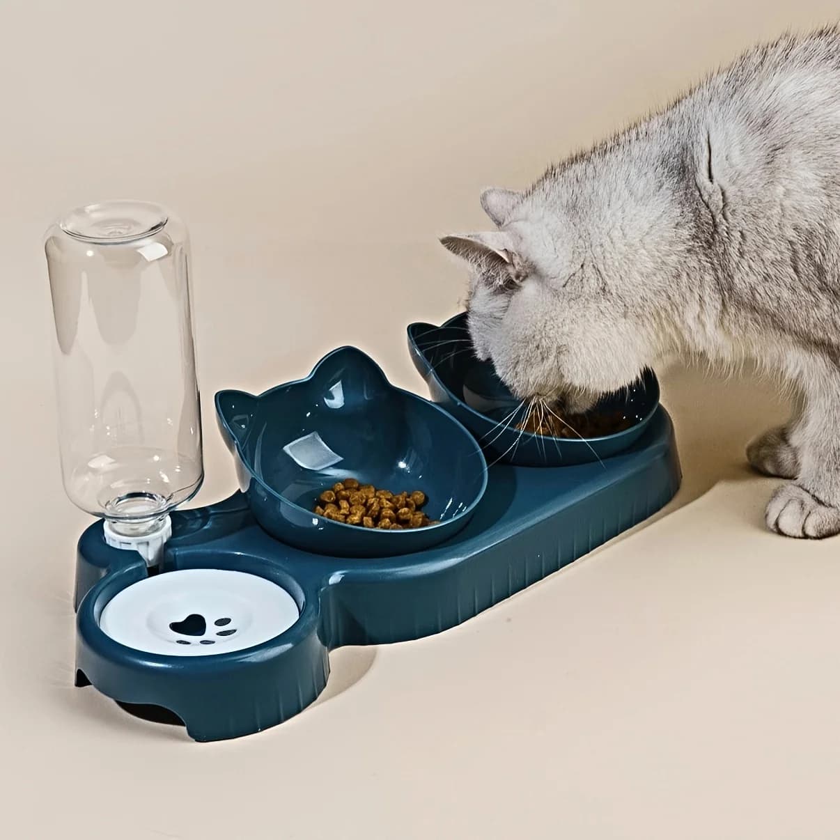 3-in-1 Tilted Cat Food and Water Bowl Set