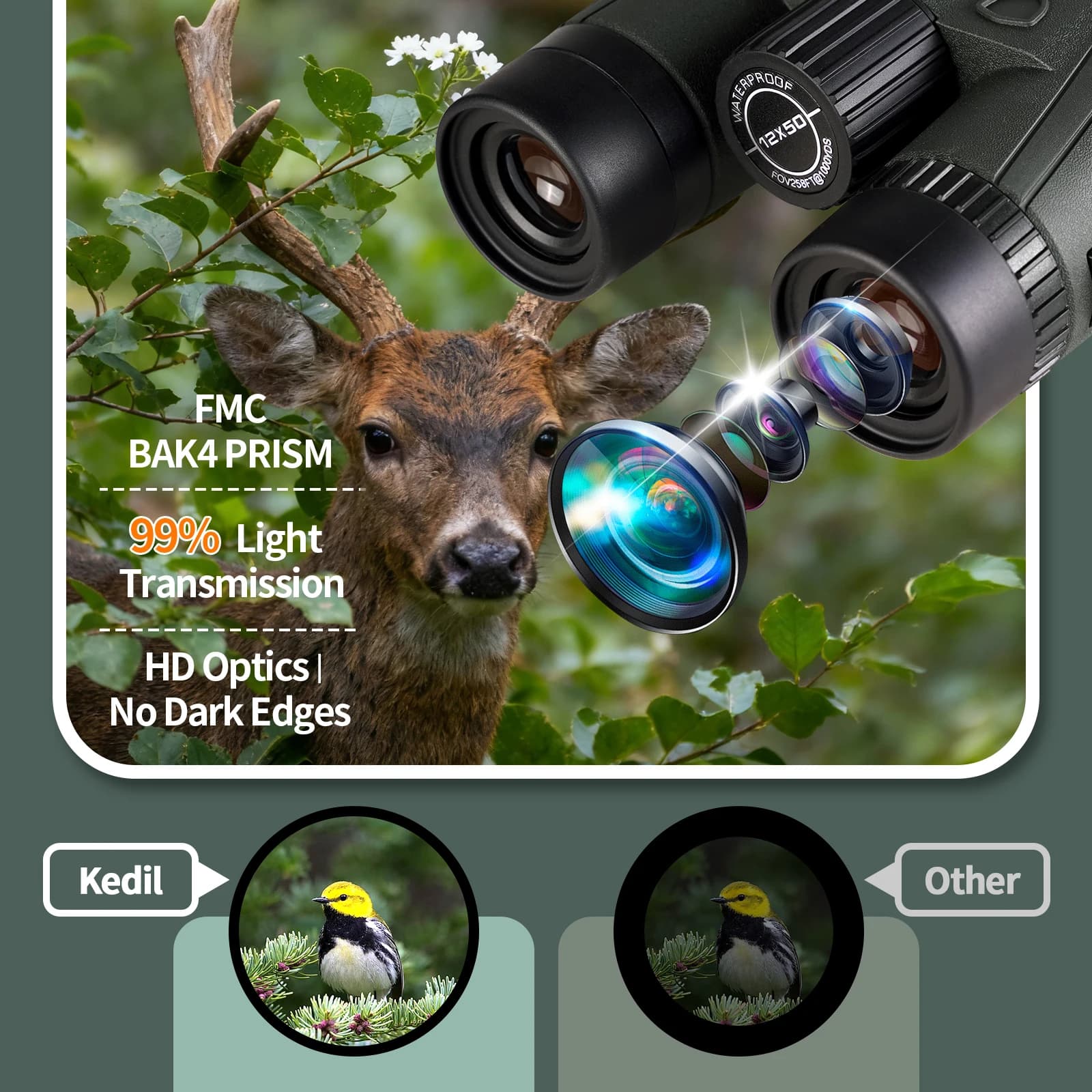 Professional HD Binoculars 12x50 BAK4 Waterproof