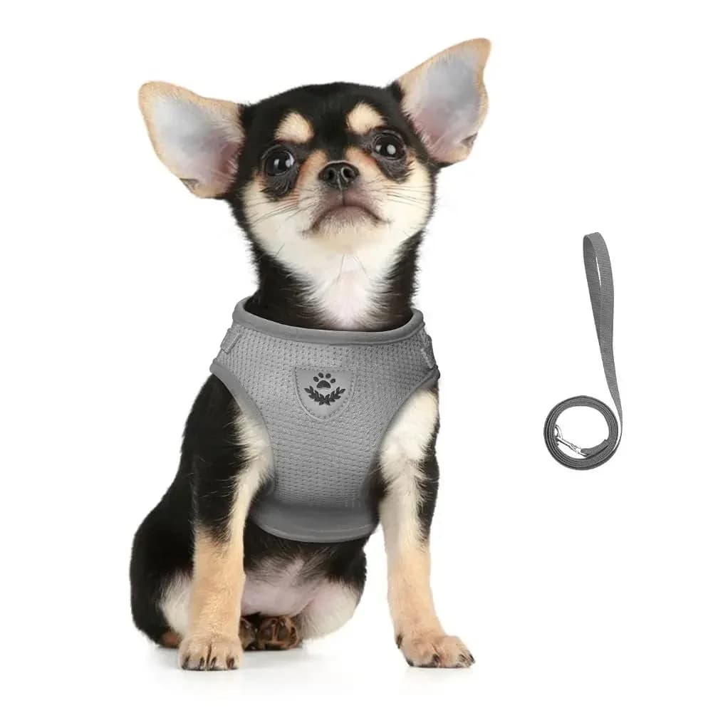 Adjustable Reflective Mesh Dog and Cat Harness with Leash