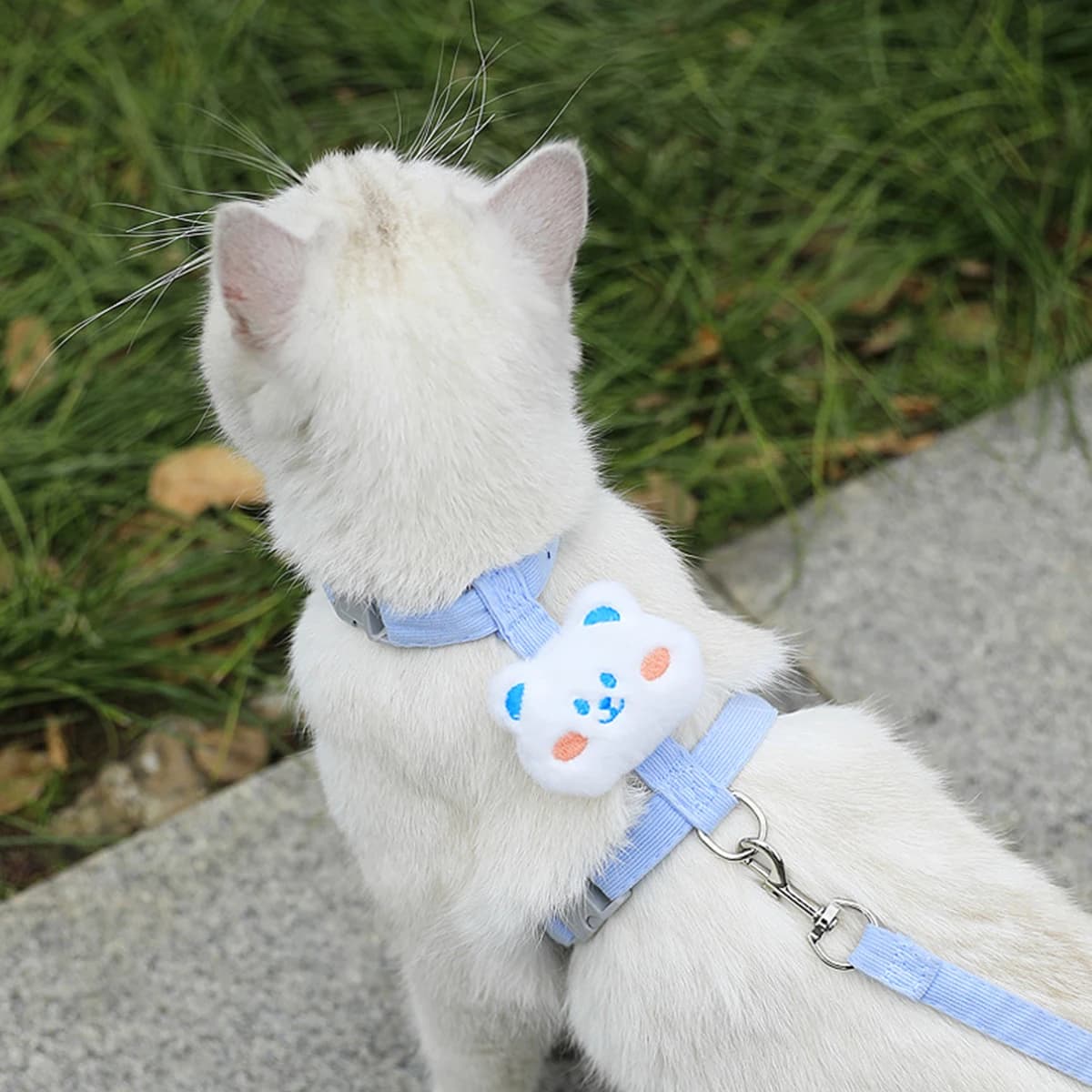 Adjustable Harness and Leash Set for Small Pets