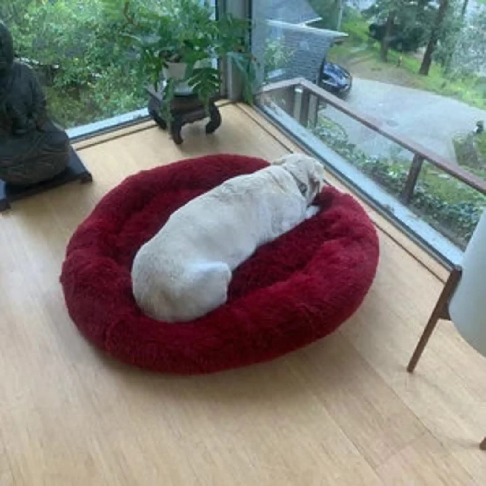 Orthopedic Donut Pet Bed