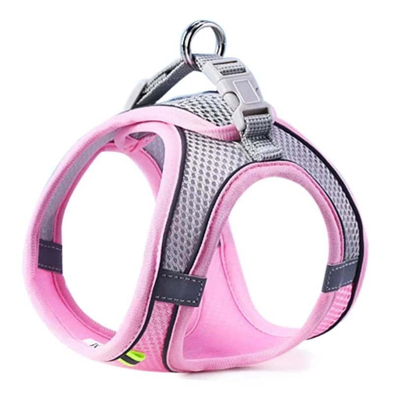 Reflective Mesh Harness and Leash Set for Cats and Small Dogs