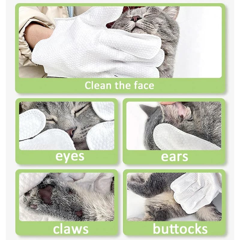 Pet Wash Free Cleaning Gloves