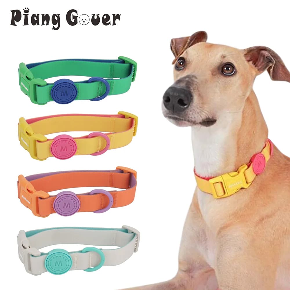 Candy Color Medium Pet Collar with Leash
