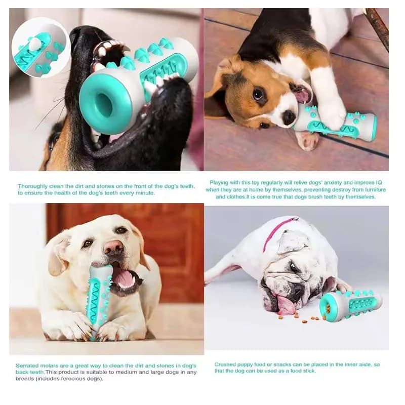 Dog Molar Dental Chew Toy with Treat Dispenser