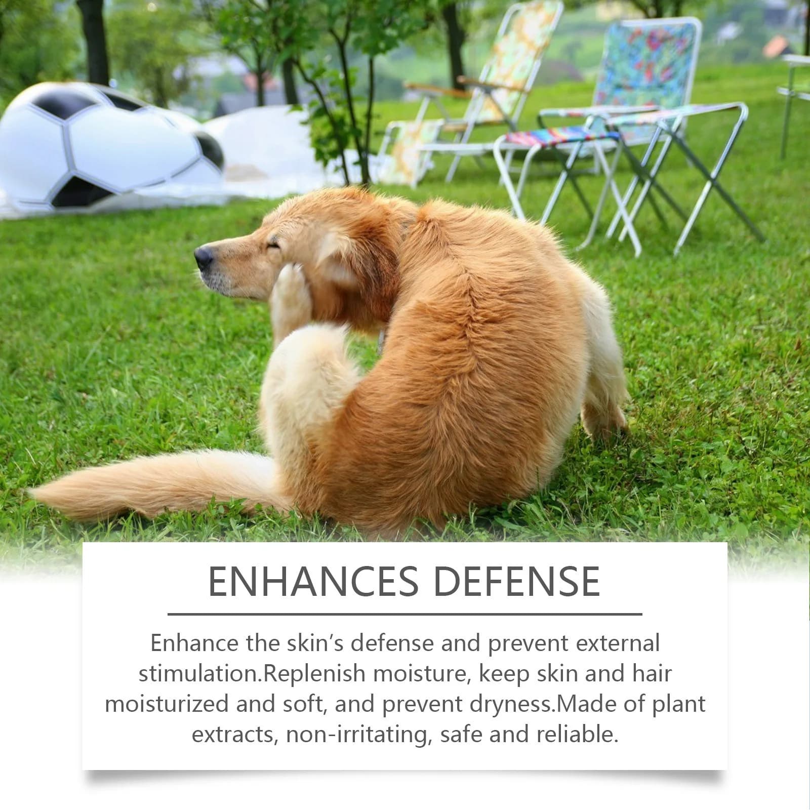Dog Shampoo Conditioner Sensitive Skin