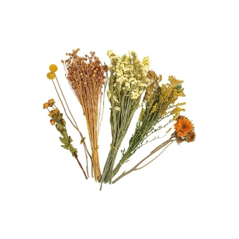 Natural Dried Flower Hamster Bedding