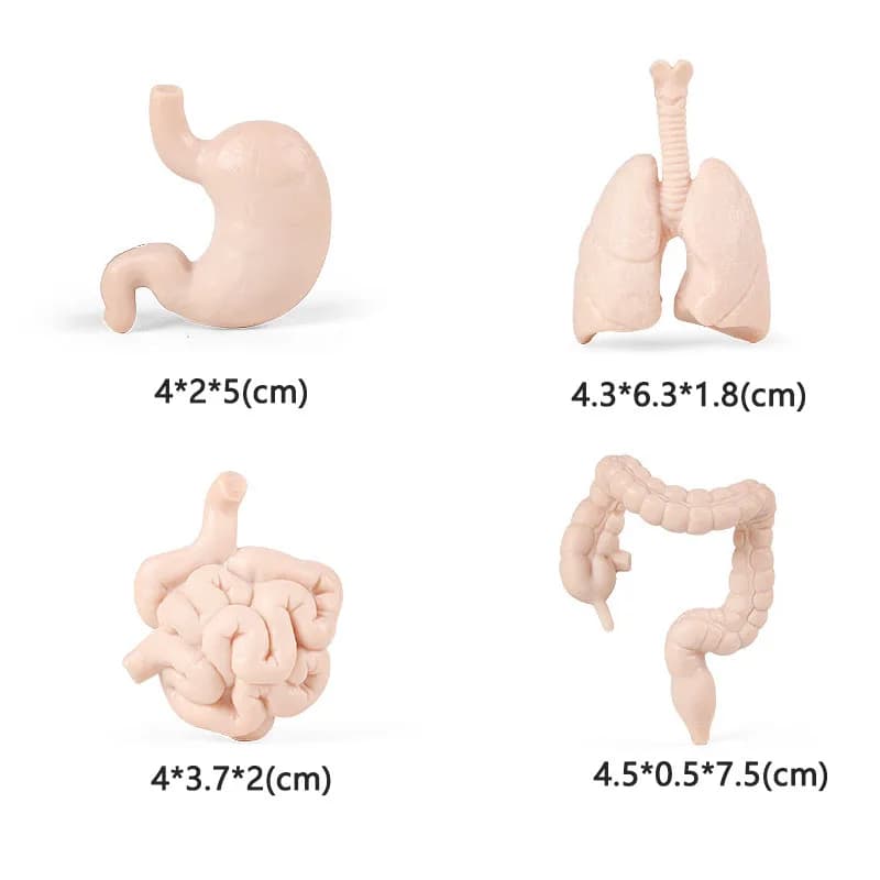 Realistic Animal Figurine Set