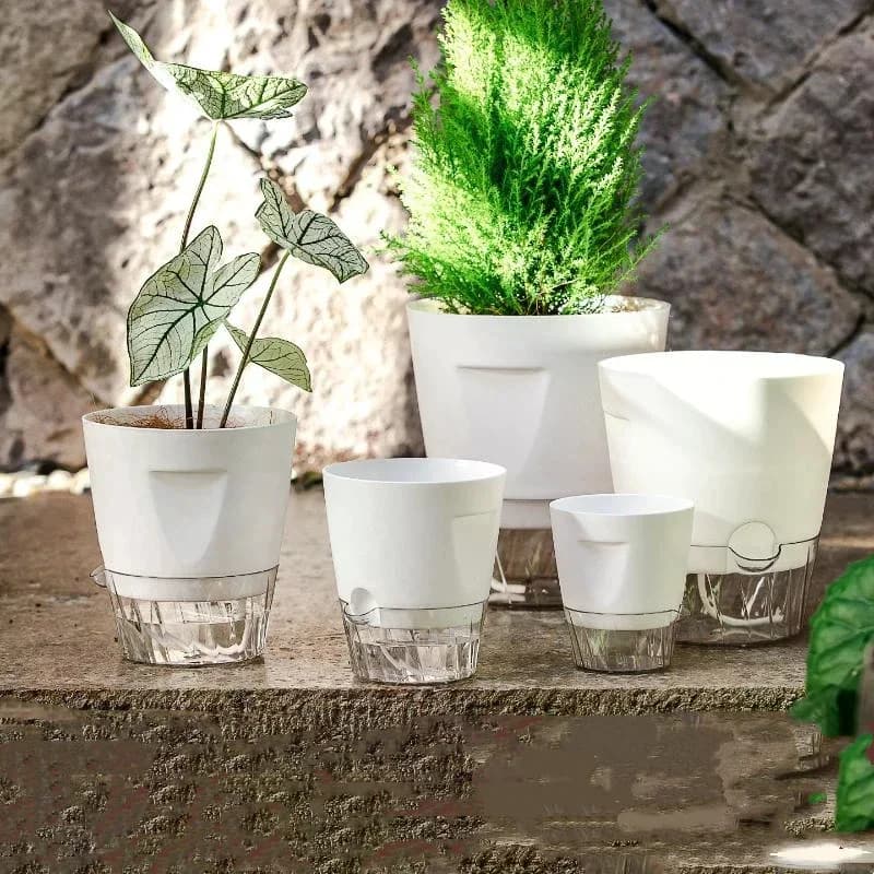 Self-Watering Plant Pot with Water Level Indicator