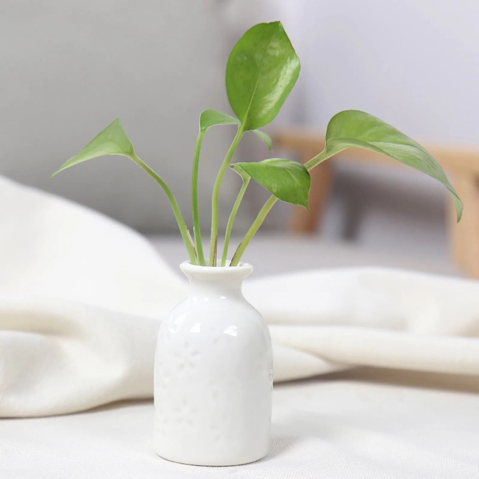 Ceramic Flower Vase for Plants
