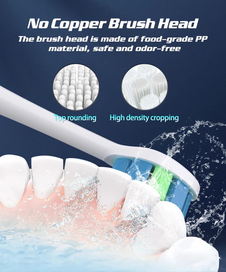 Electric Toothbrush With Six Brush Heads and Dock