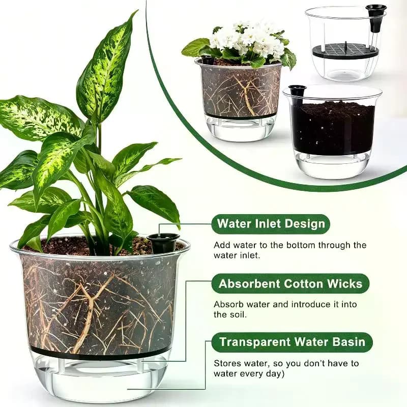 Self-Watering Clear Plastic Plant Pot