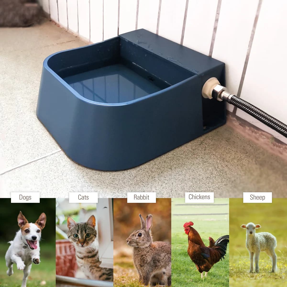 Automatic Pet Water Storage Bowl with Floating Ball