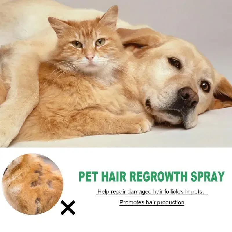 Cat Detangler and Hair Regrowth Spray