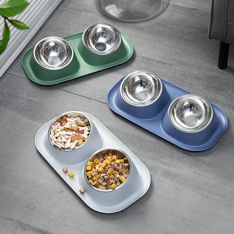 Stainless Steel Raised Pet Bowl Feeder