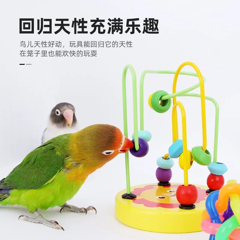 Bird Cage Activity Toy