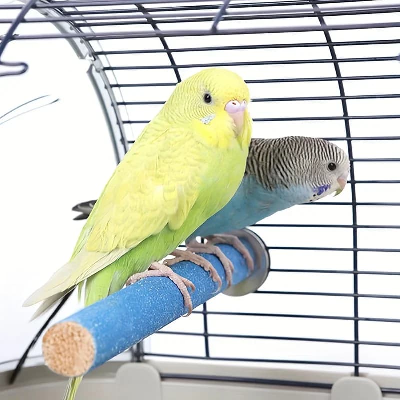 Bird Perch Grinding Stick Toy Stand