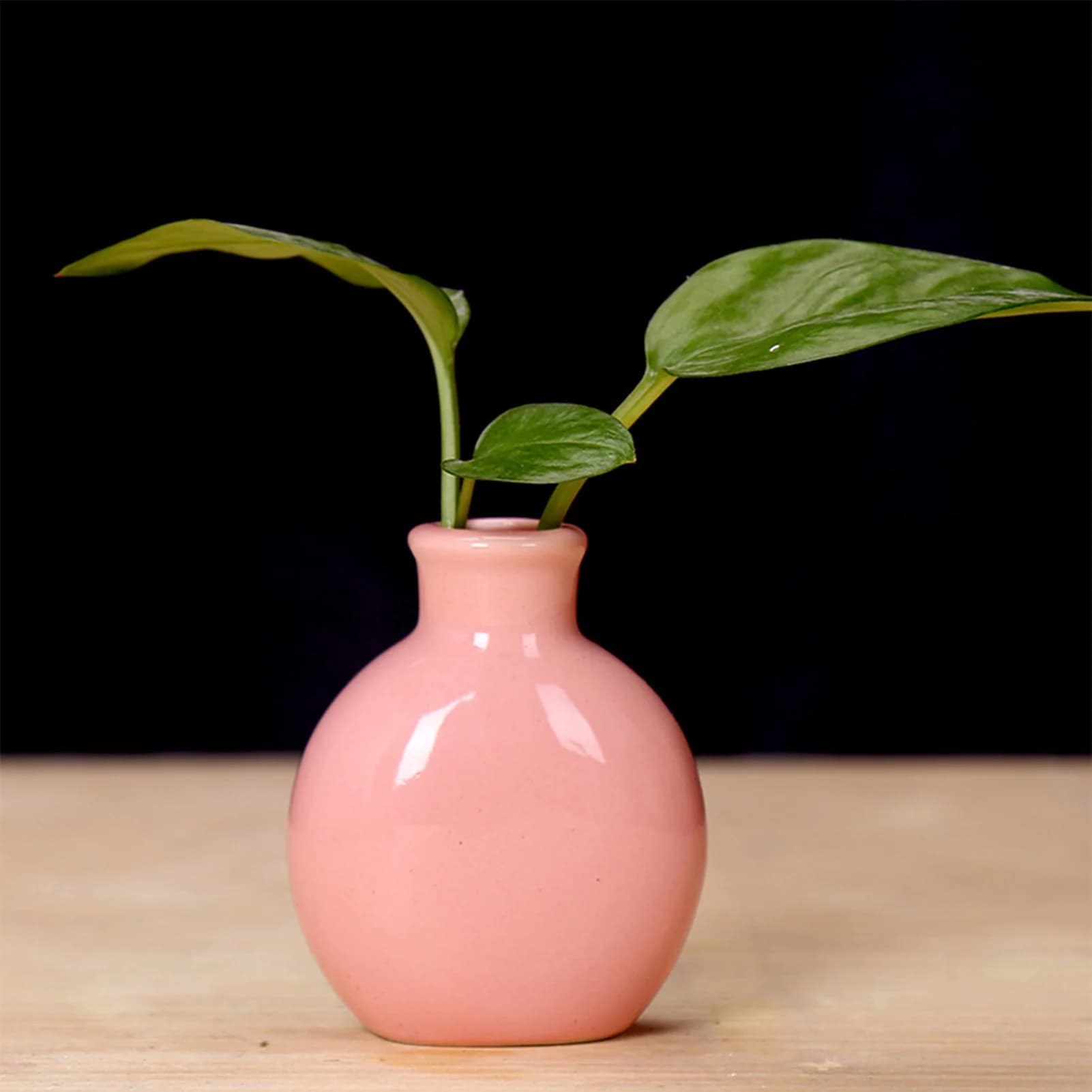 Ceramic Flower Vase for Plants