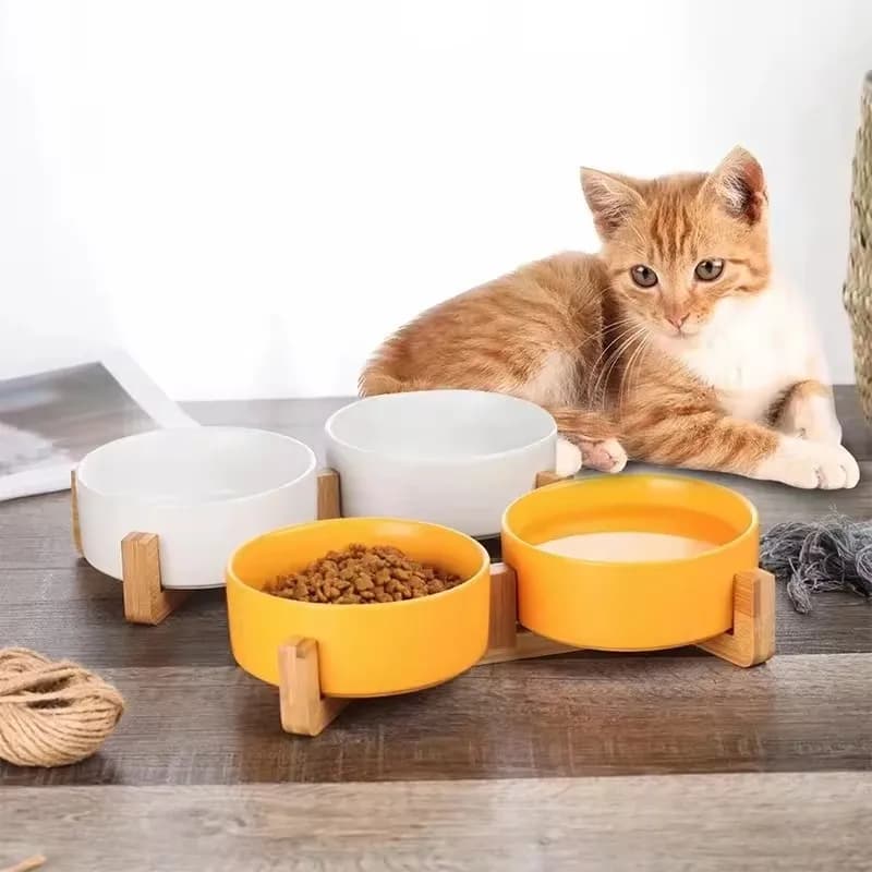 Elevated Ceramic Pet Bowl Feeder Set