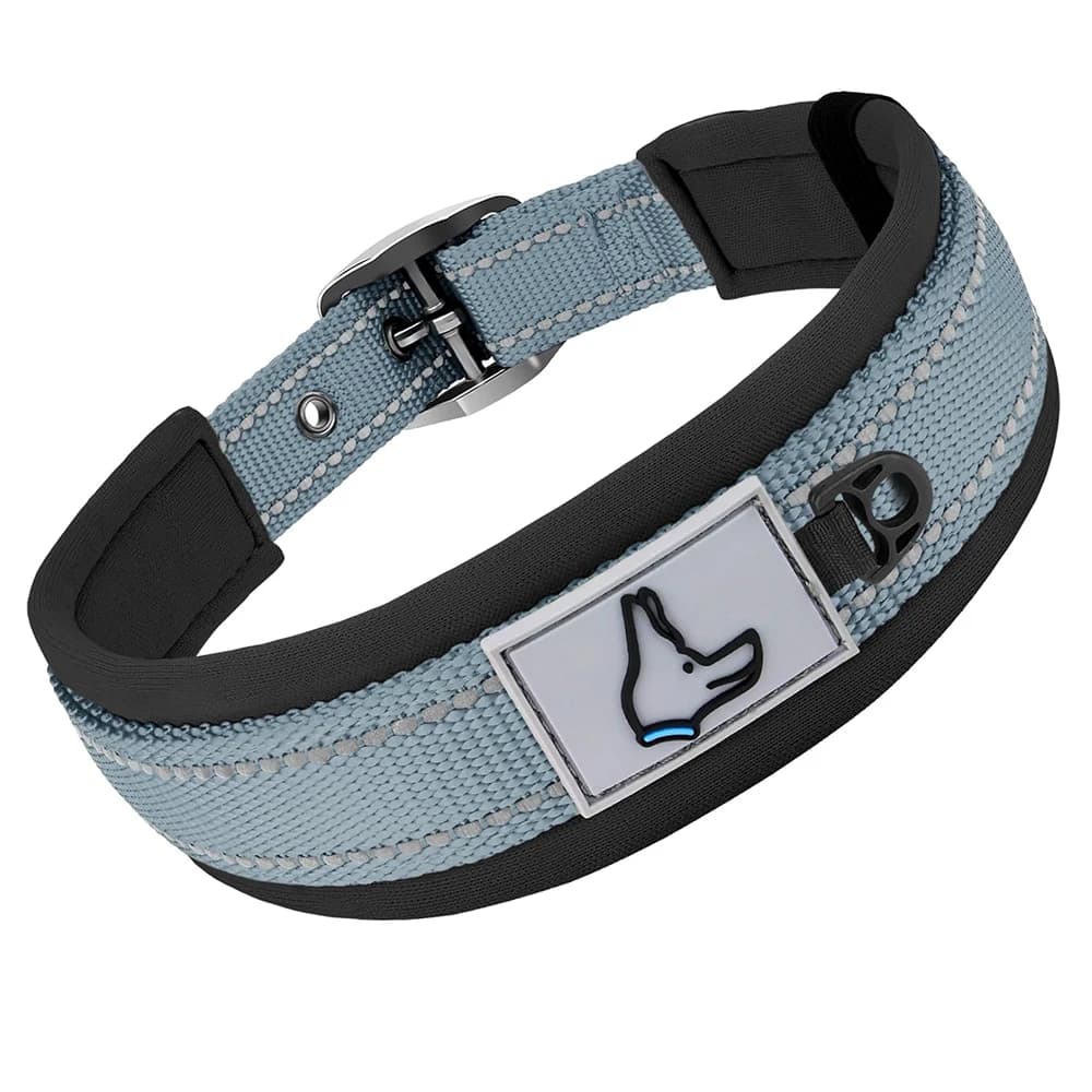 Padded Reflective Dog Collar with Metal Buckle