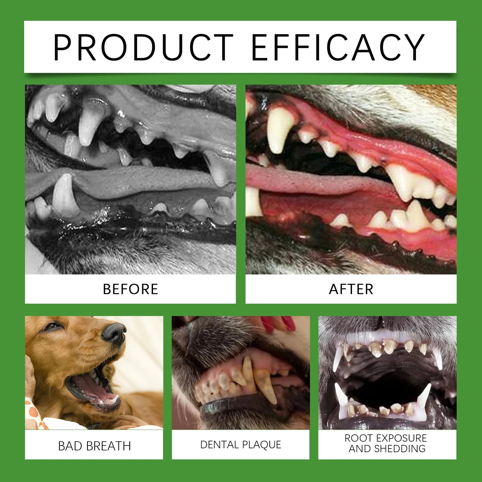 Dog Tooth Cleaning Powder