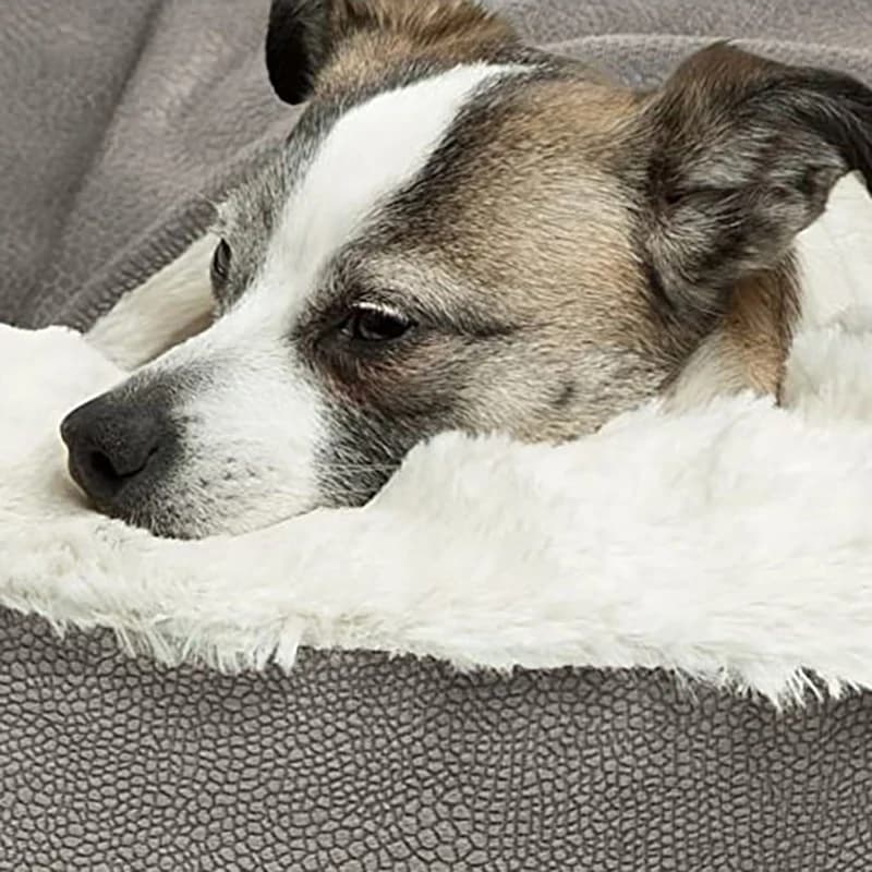 Orthopedic Dog Bed with Hooded Blanket
