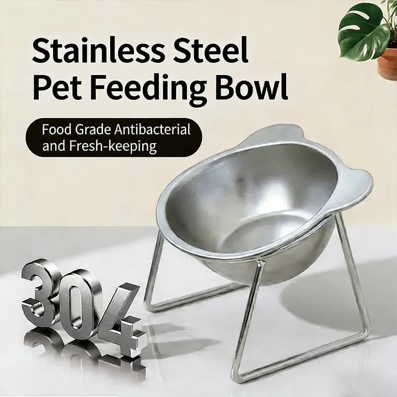 15° Tilted Stainless Steel Raised Cat Bowl