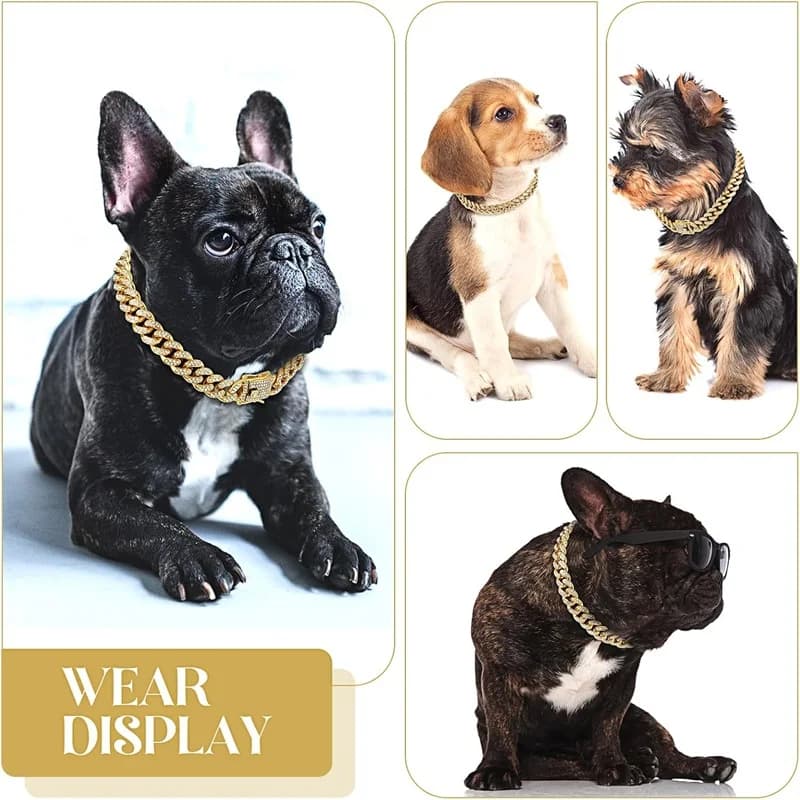 Gold Metal Chain Collar for Dogs and Cats