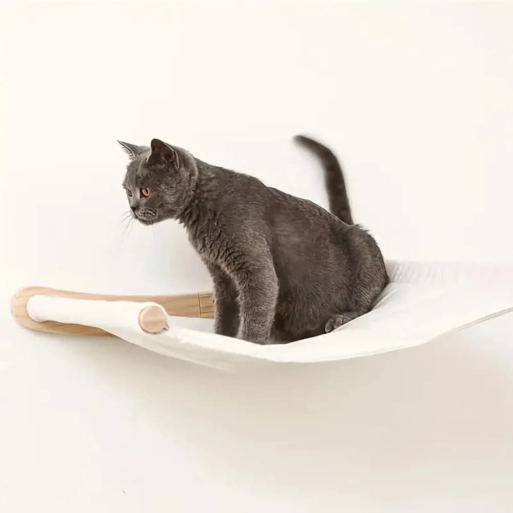 Wall Mounted Cat Shelf with Perch
