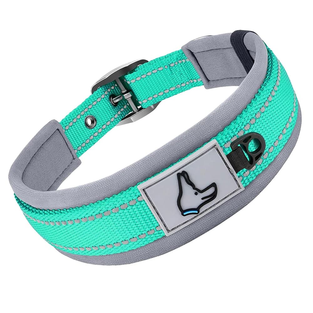 Padded Reflective Dog Collar with Metal Buckle