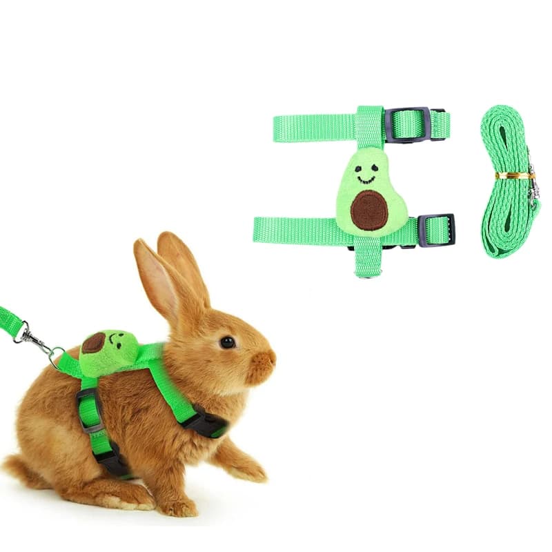 Small Animal Harness and Leash Set