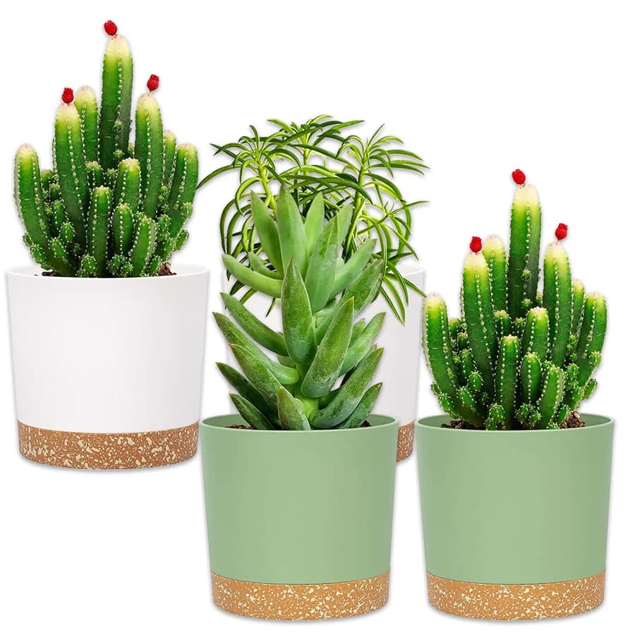 Plant Pots with Drainage Holes and Saucer, 2-Pack