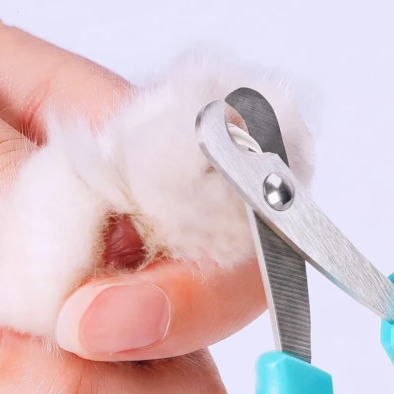 Small Pet Nail Clippers